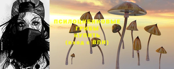 крисы Баксан