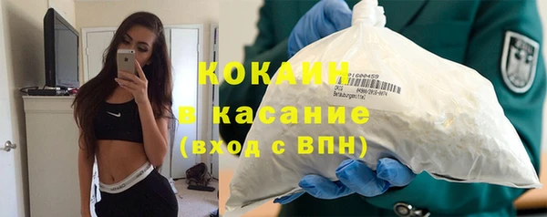 крисы Баксан