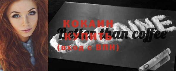 крисы Баксан