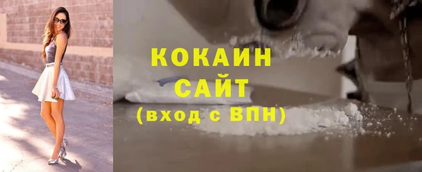 крисы Баксан