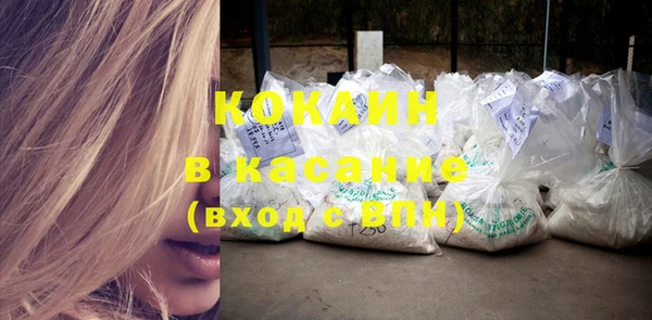 крисы Баксан