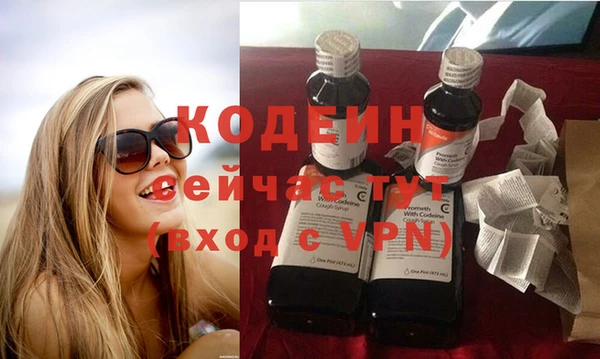 крисы Баксан